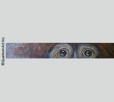 Orangutan Eyes