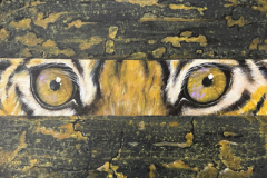 Tiger Eyes: The Watcher