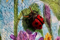 Garden Party, Lady Bug Detail